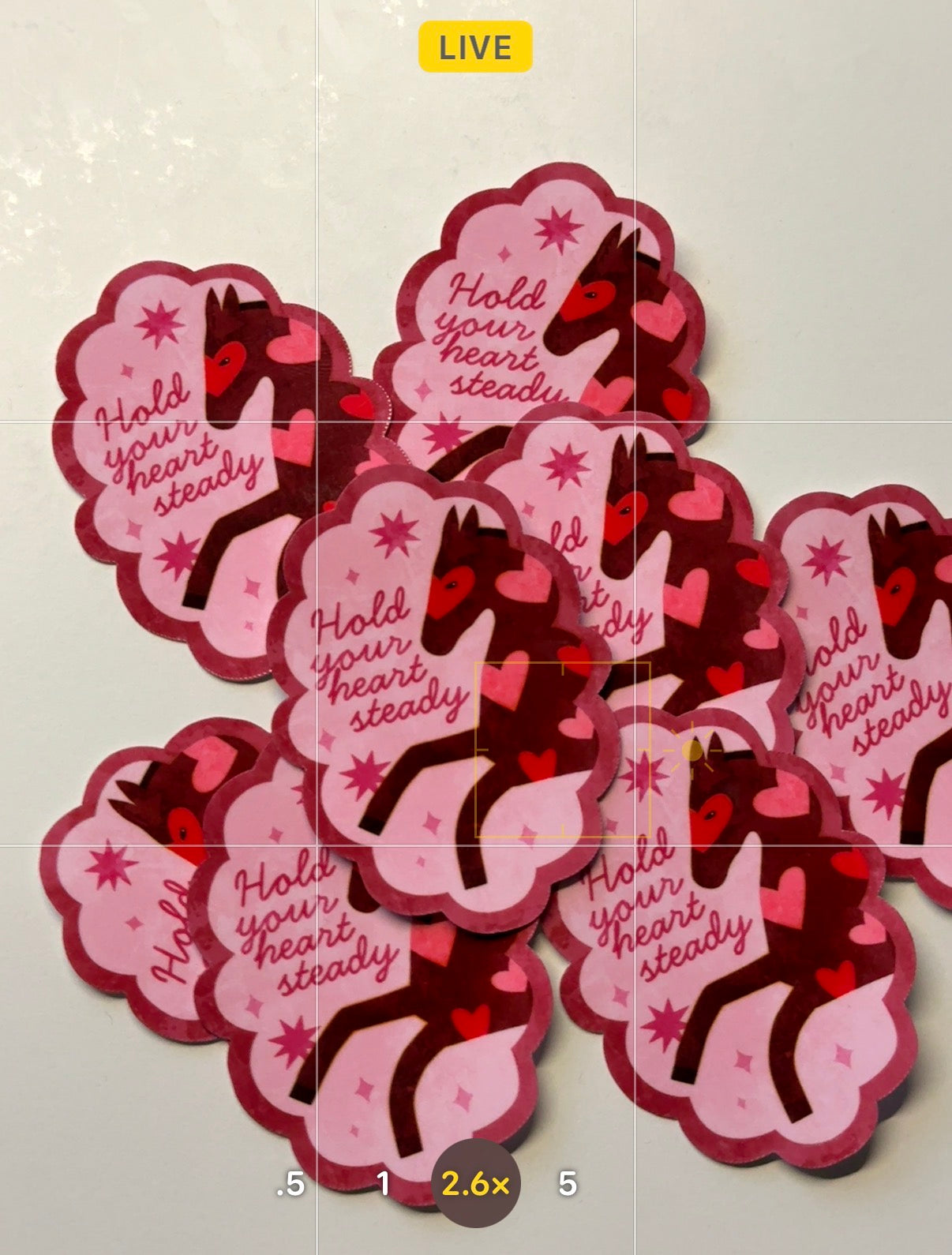 Year of The Horse Sticker